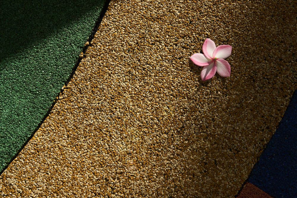 Photograph by Nam Tran Duy