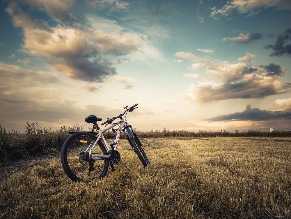 Photograph by Vitaliy