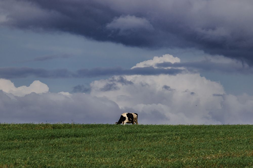 Photograph by Сергей Зайцев