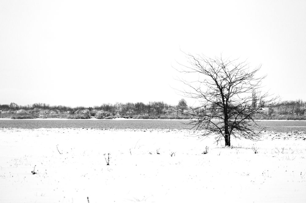 Фотография автора Вазген Бояджян