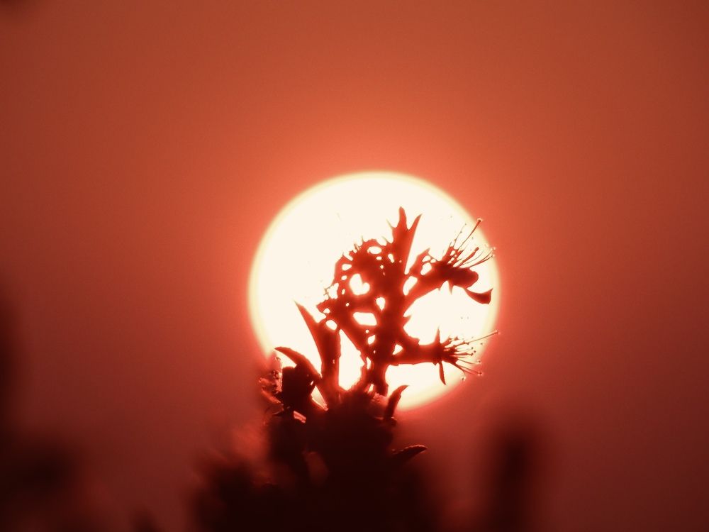 Photograph by Данила Мельников