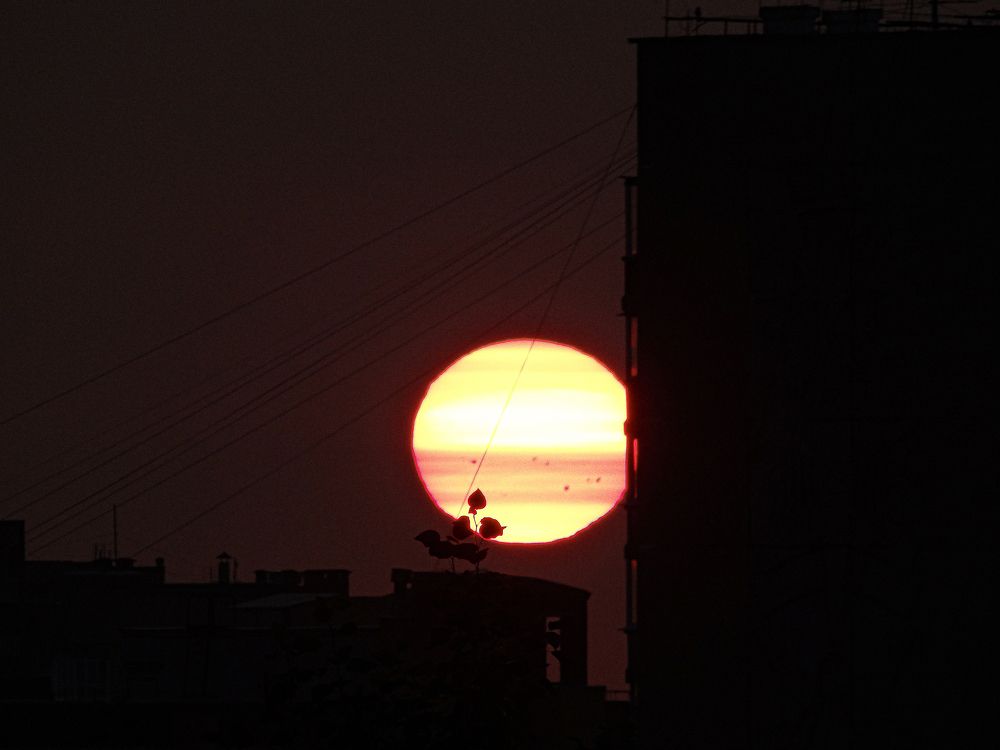 Photograph by Данила Мельников