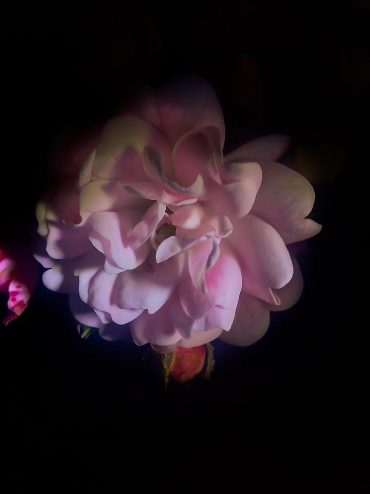 Photograph by Ivan Goshtanar