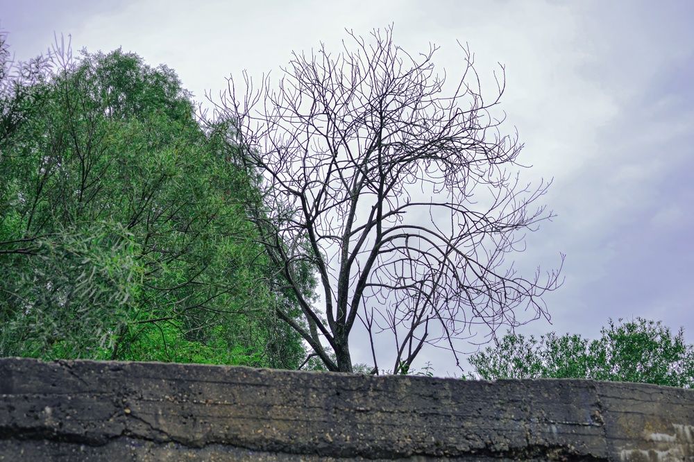 Фотография автора Алина Руденко