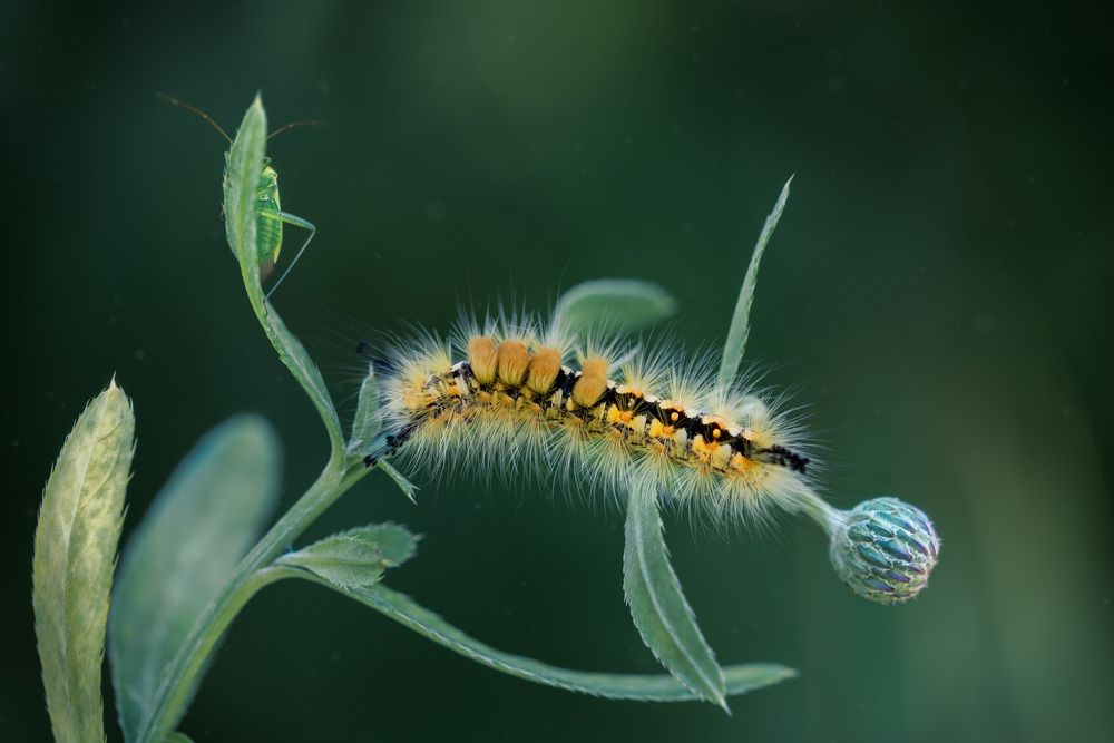 Photograph by Рагинская Ольга