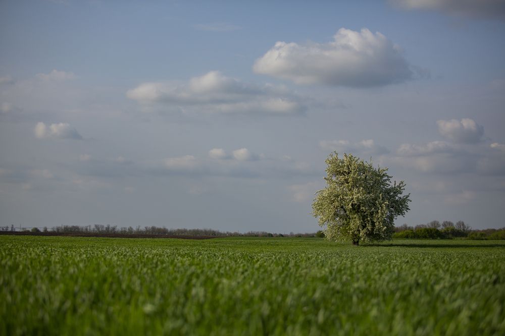 Фотография автора Вазген Бояджян
