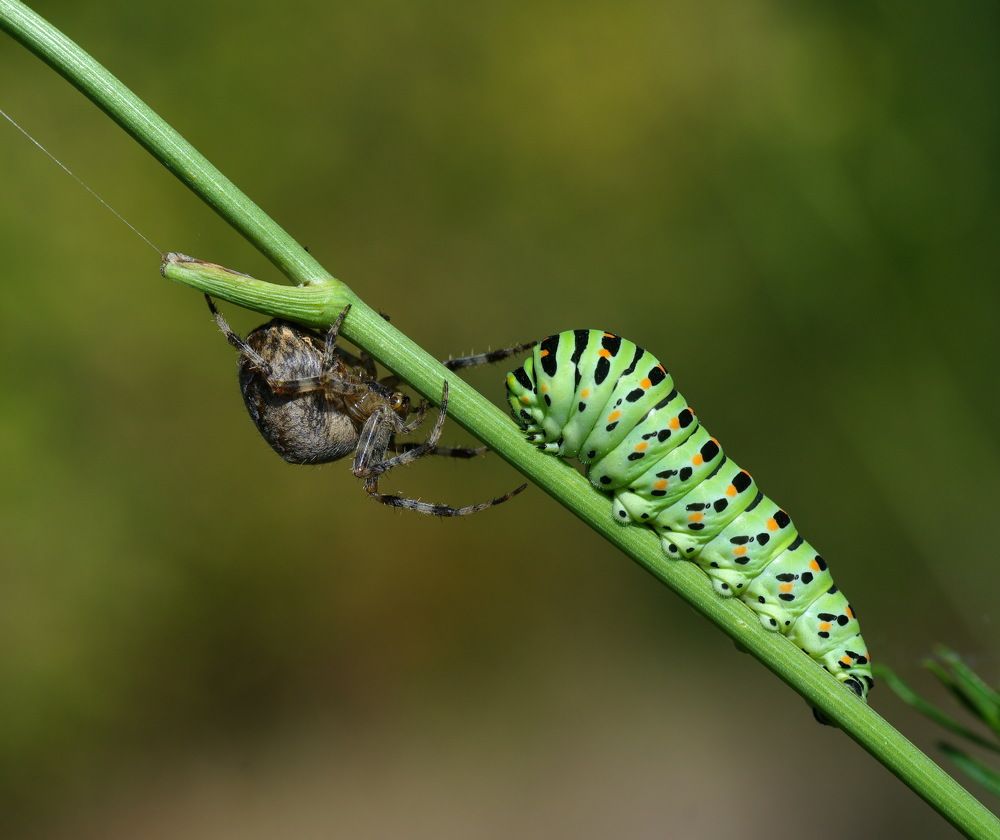 Photograph by Валерий Черняк