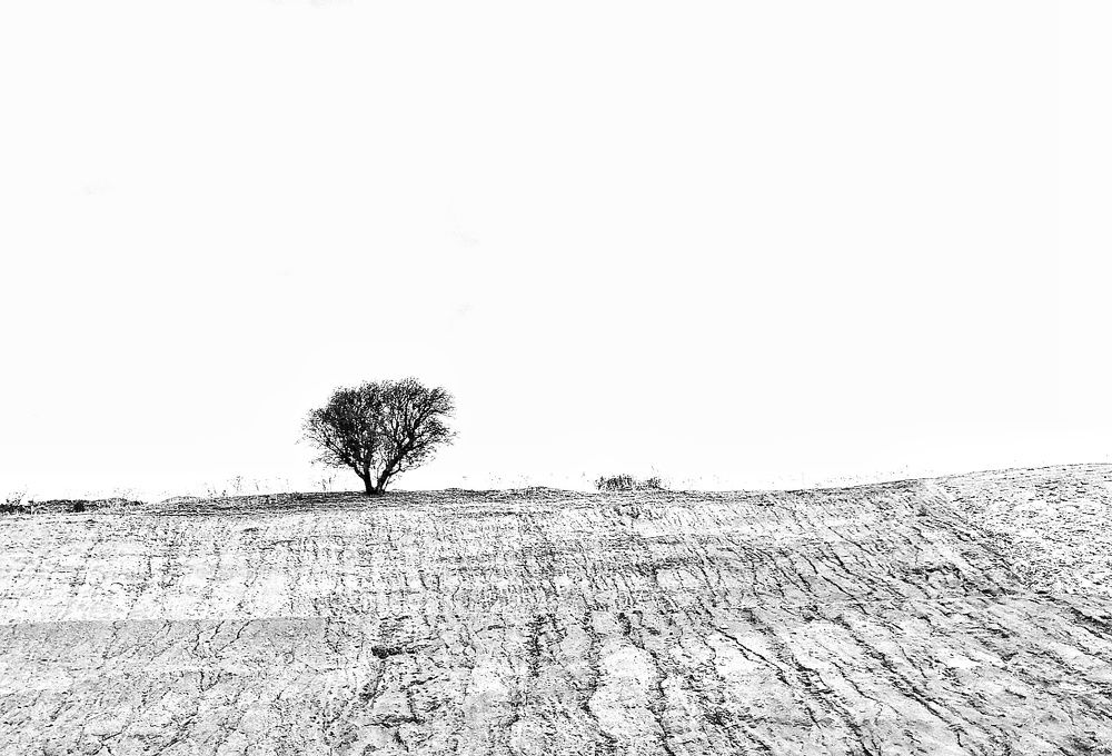 Photograph by Azzeddine Memmou