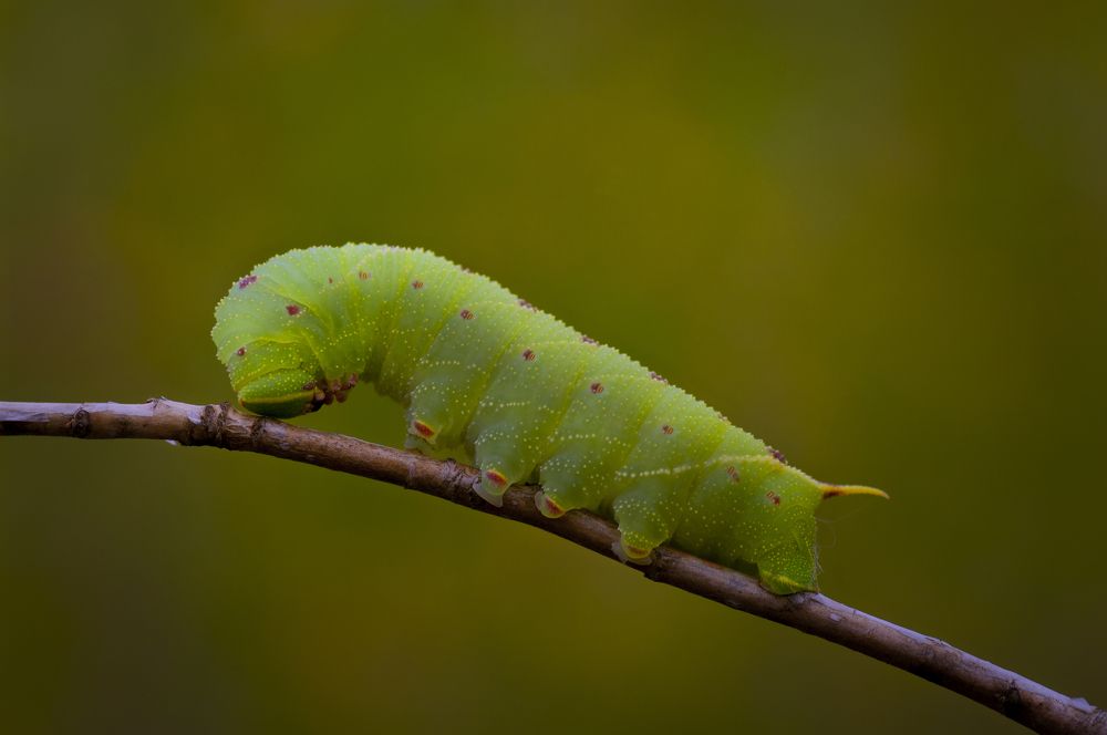 Photograph by Валерий Черняк