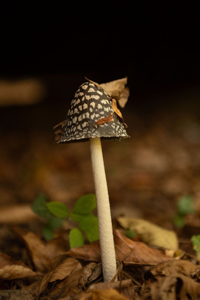 Photograph by Карина Кириченко