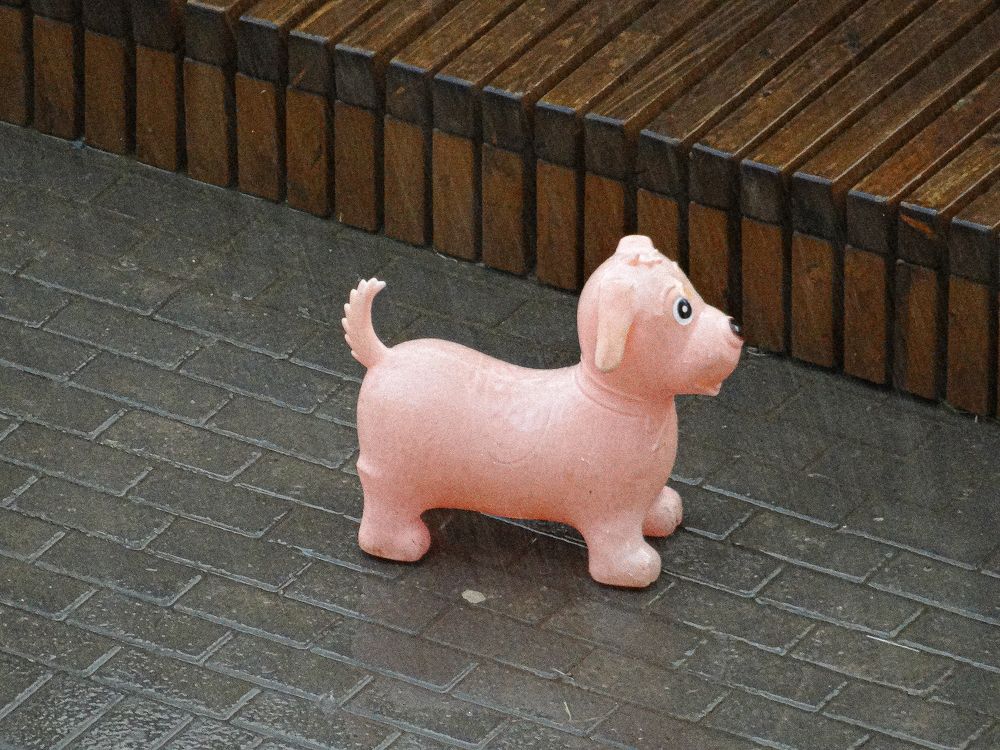 Photograph by Данила Мельников