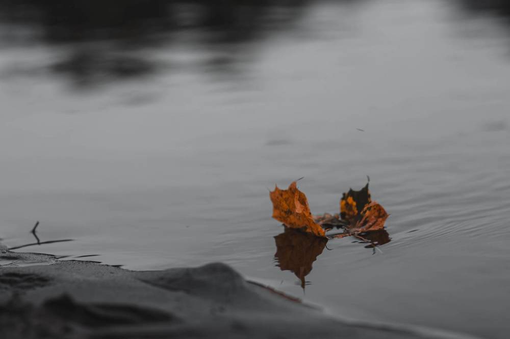 Фотография автора Алина Руденко