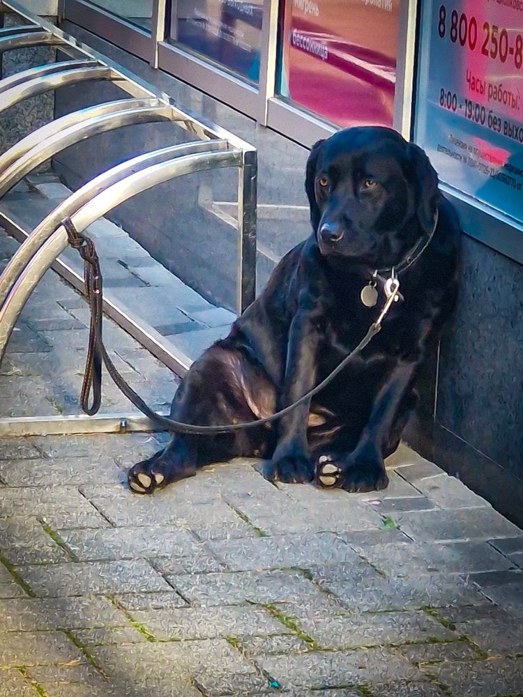 Photograph by Игорь Чечин