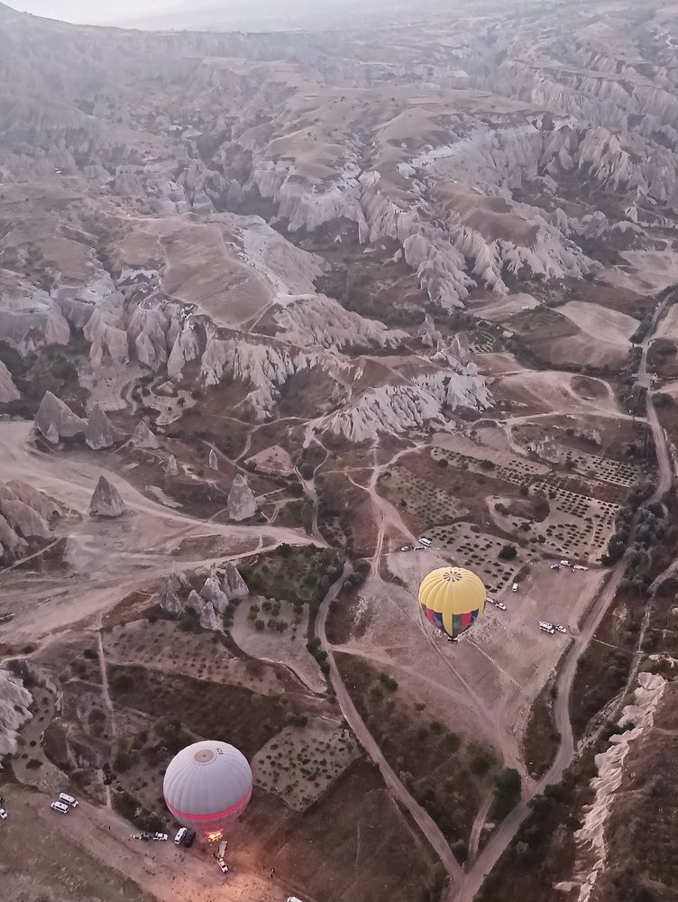 Фотография автора Елена Александрова