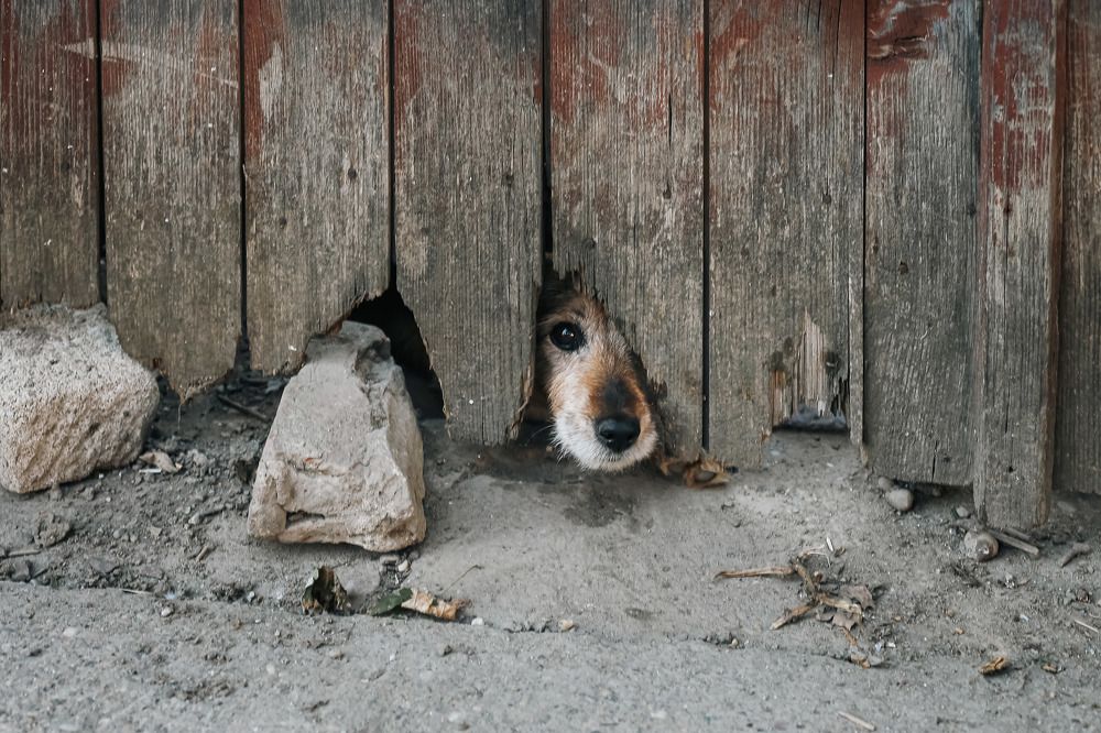 Photograph by Наталья Юденкова