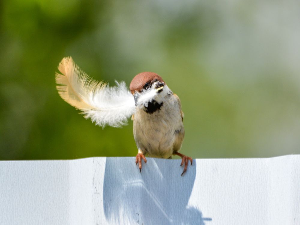 Photograph by Анастасия Гурова