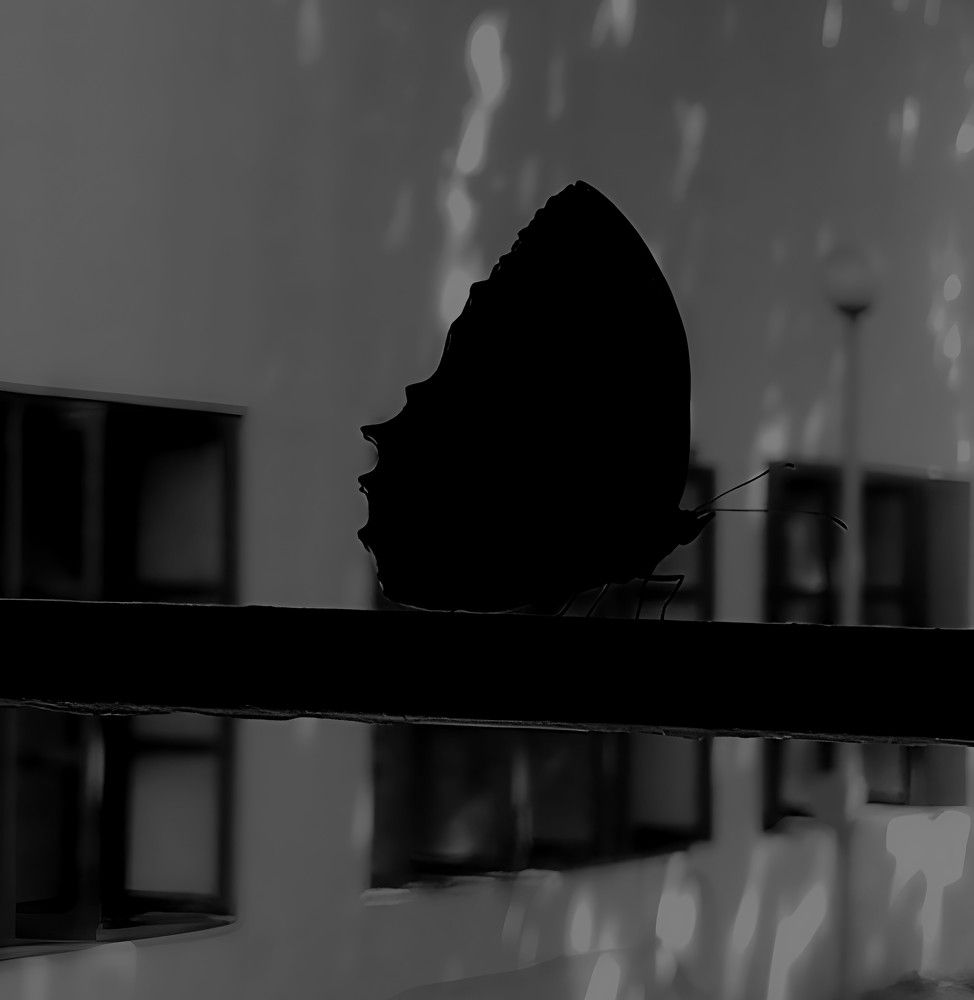 Photograph by Ambewadikar sourabh