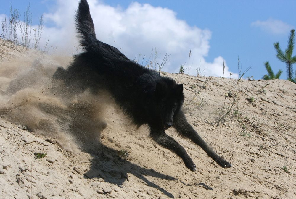 Фотография автора Надежда Лисицына