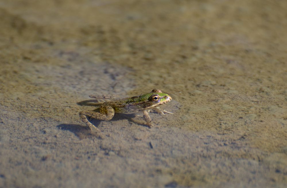 Photograph by Кристина Дегтярёва