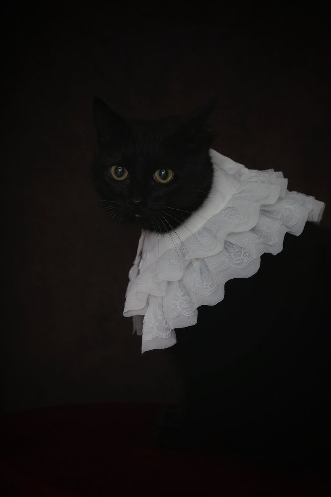 Photograph by Наталья