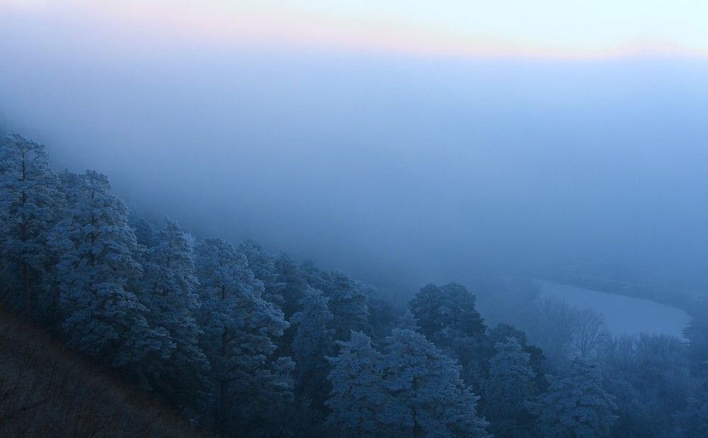 Фотография автора Татьяна Шебаршенко