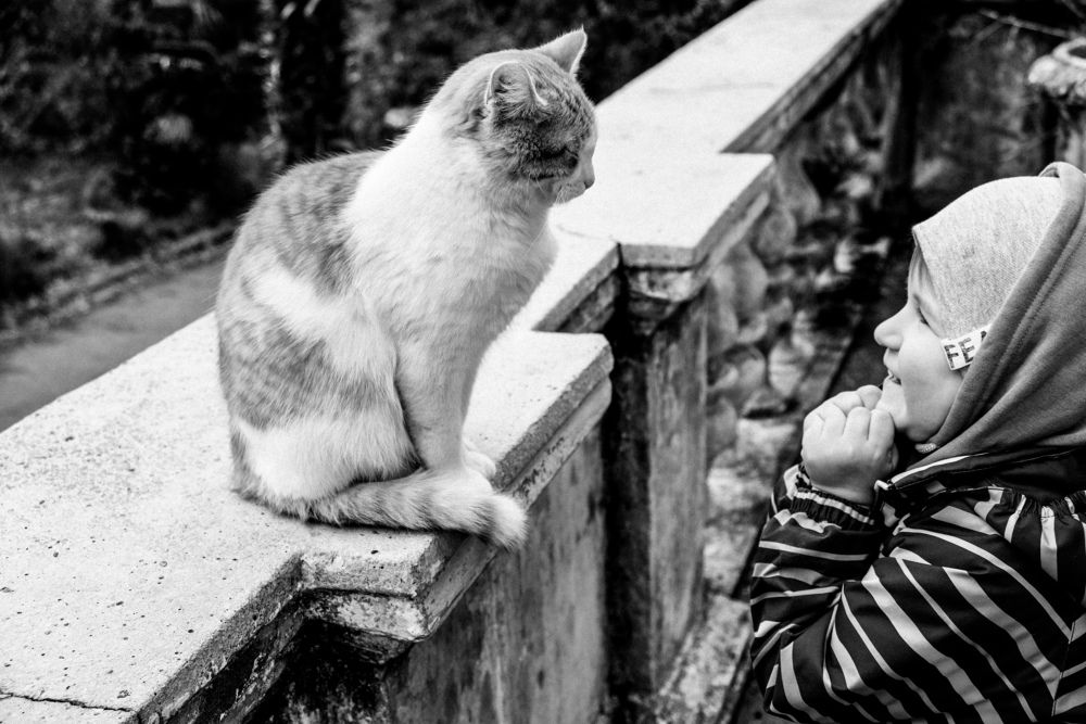 Photograph by Ирина Баринова