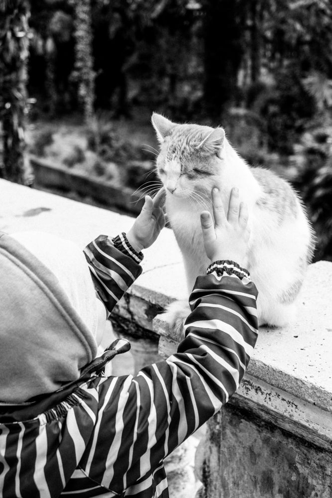 Photograph by Ирина Баринова