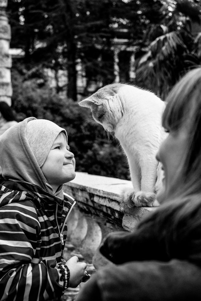 Photograph by Ирина Баринова