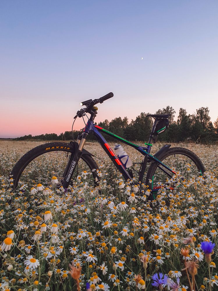 Photograph by Олег Титкин