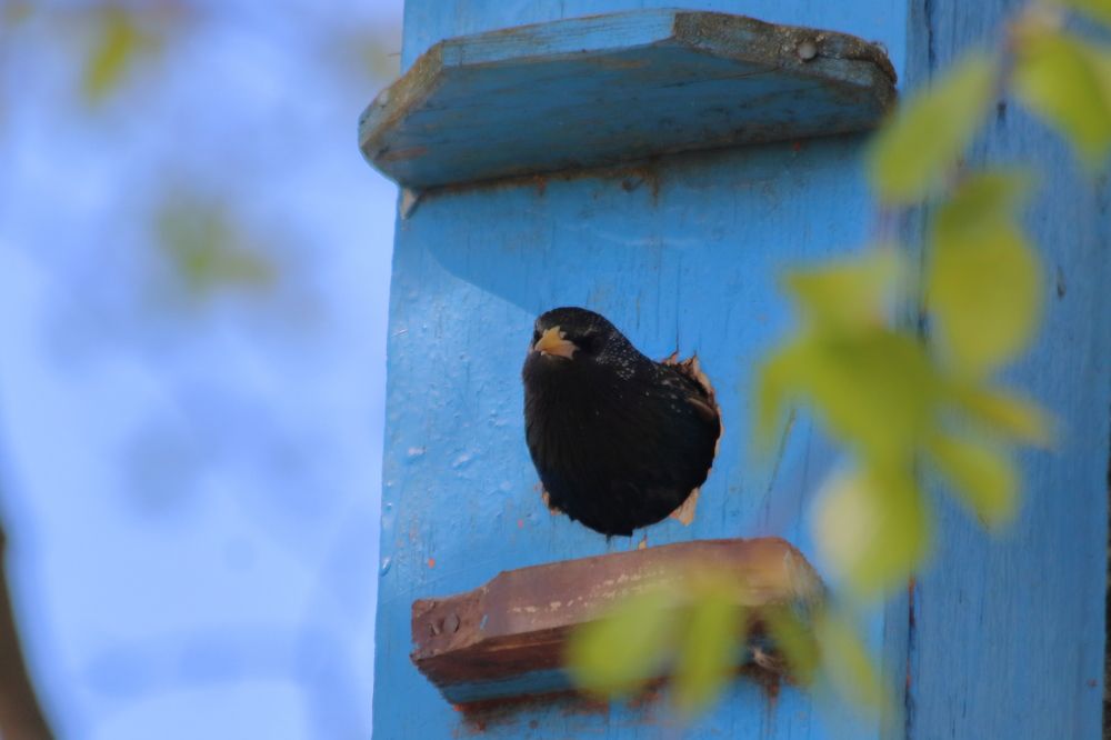 Photograph by Алексей Егоров