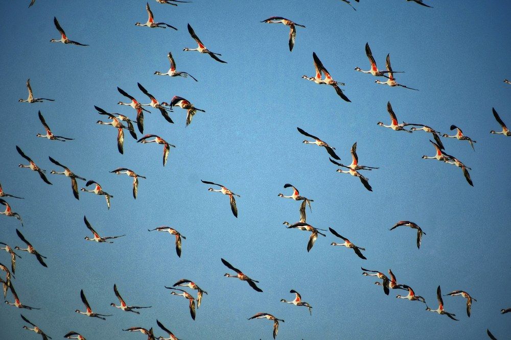 Photograph by Kriti Aggarwal