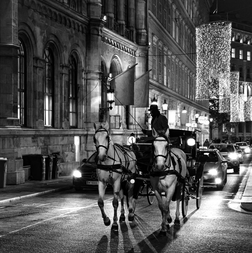 Photograph by Eva Wiedemann