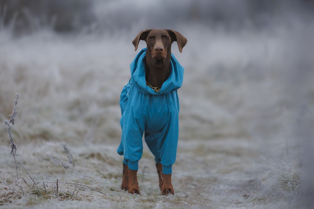 Photograph by Мария Клещенко