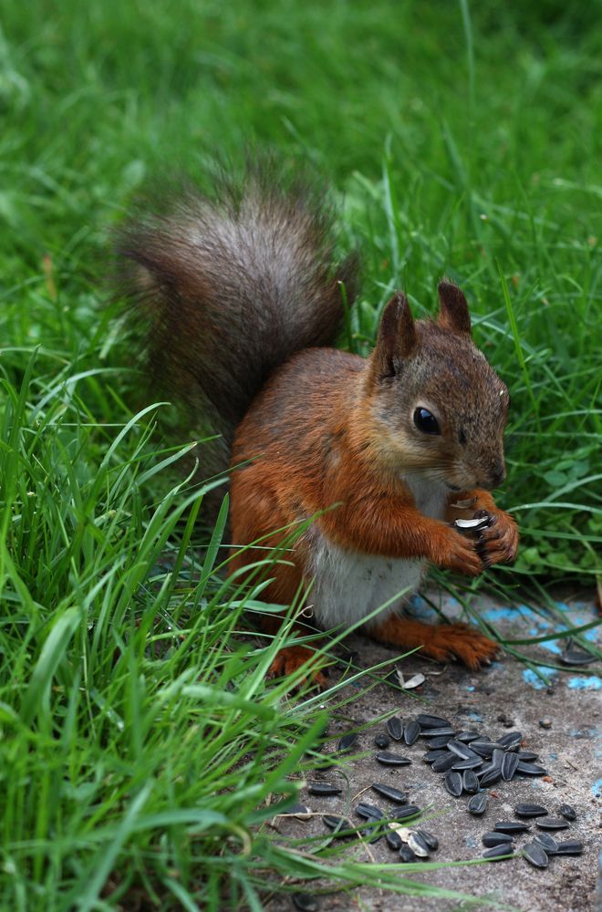 Photograph by Татьяна