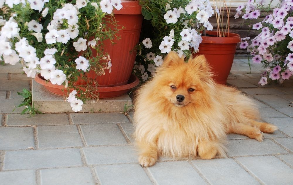 Photograph by Ася Батурина