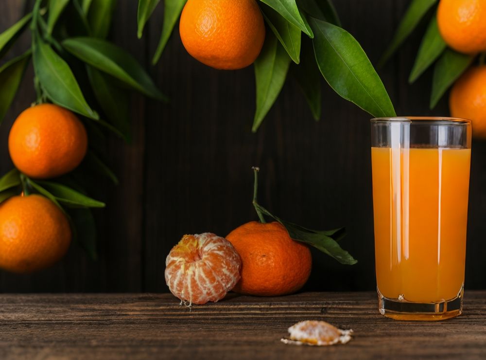 Photograph by Zahra Tavakoli