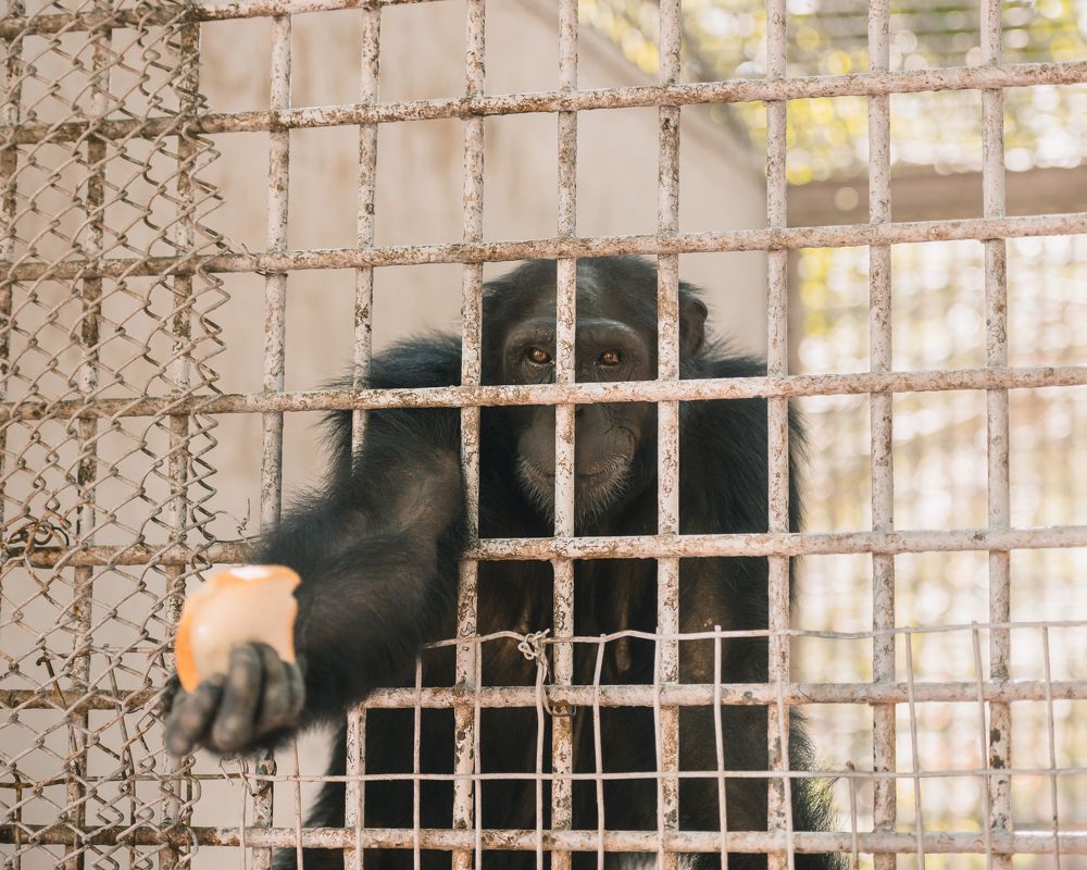 Photograph by Jamal Uddin