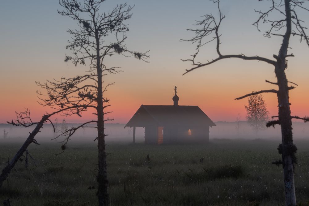 Photograph by Третьякова Анастасия