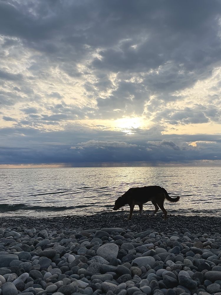 Фотография автора Ольга Каминская