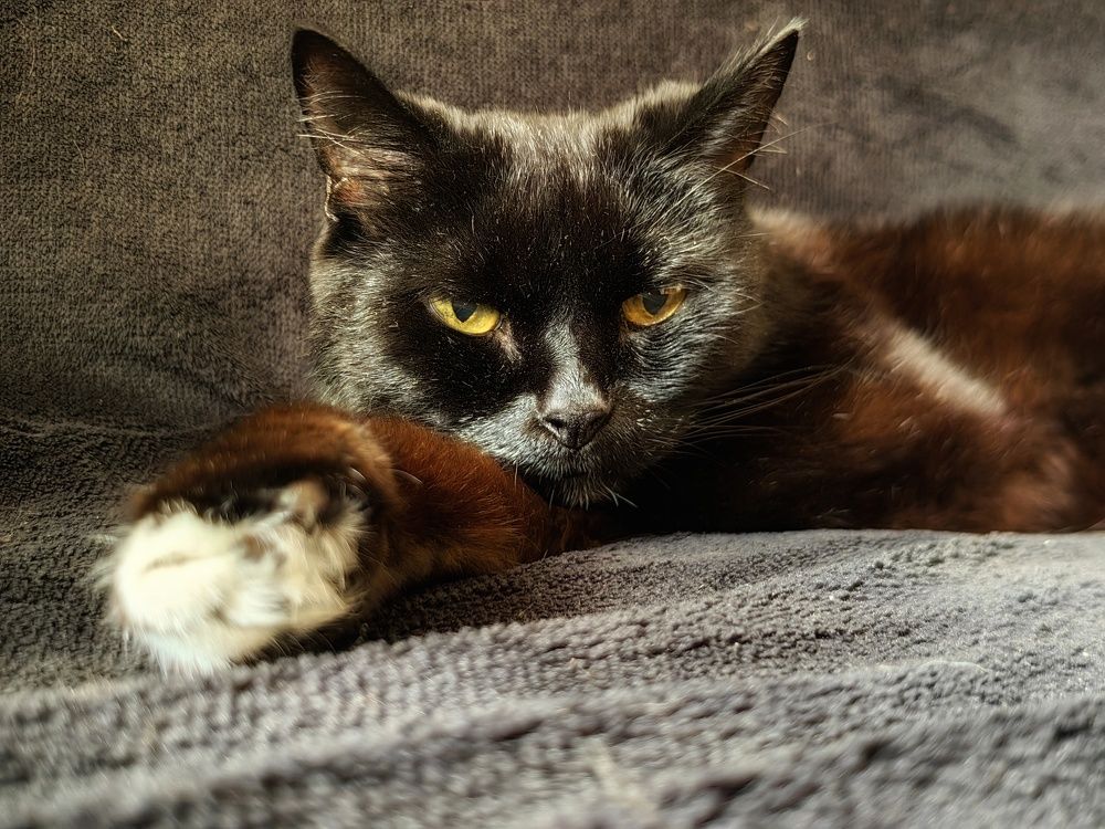 Photograph by Maiya Bulatova