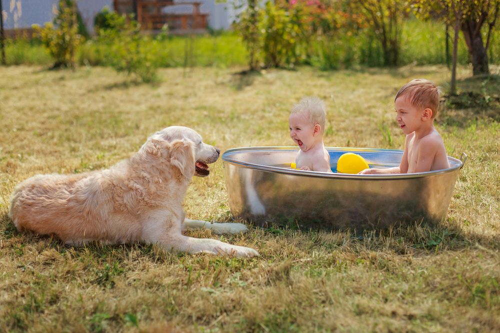 Фотография автора Галина Шепелева