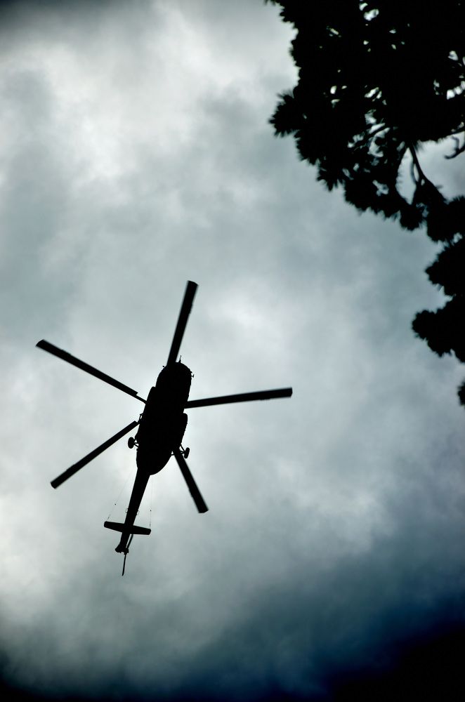 Фотография автора Крутяков Арсений