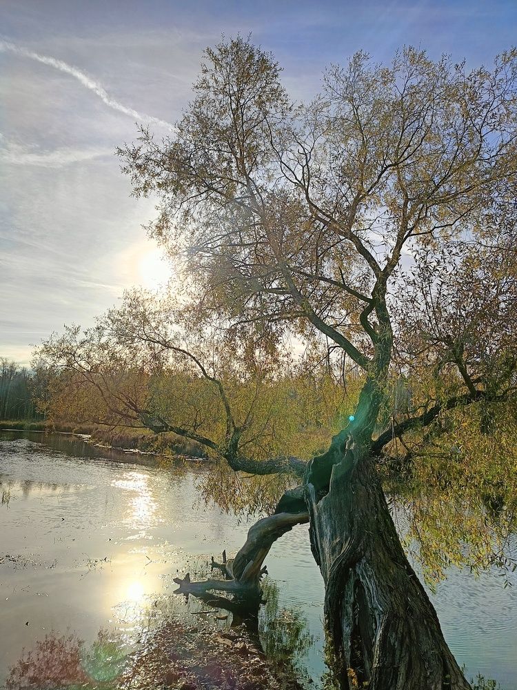 Photograph by Алексей Левичев