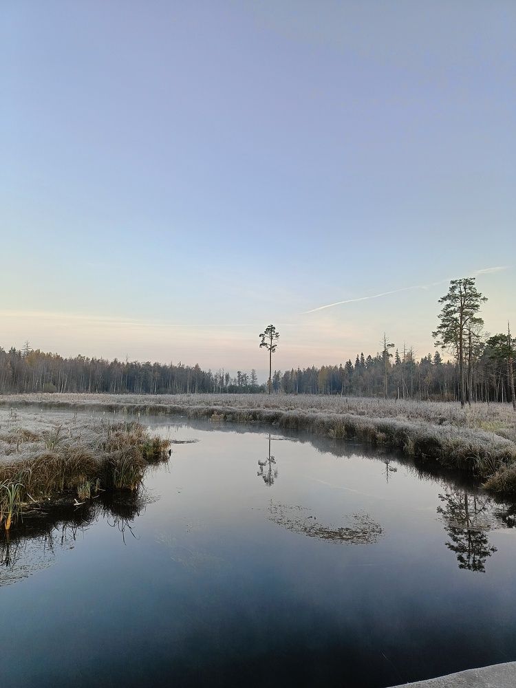 Photograph by Алексей Левичев