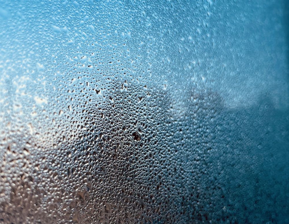 Фотография автора Оксана Мерзликина