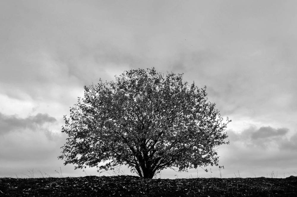 Photograph by Cергей Абакумов