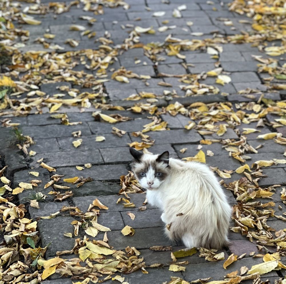 Photograph by Jekaterina Michejeva