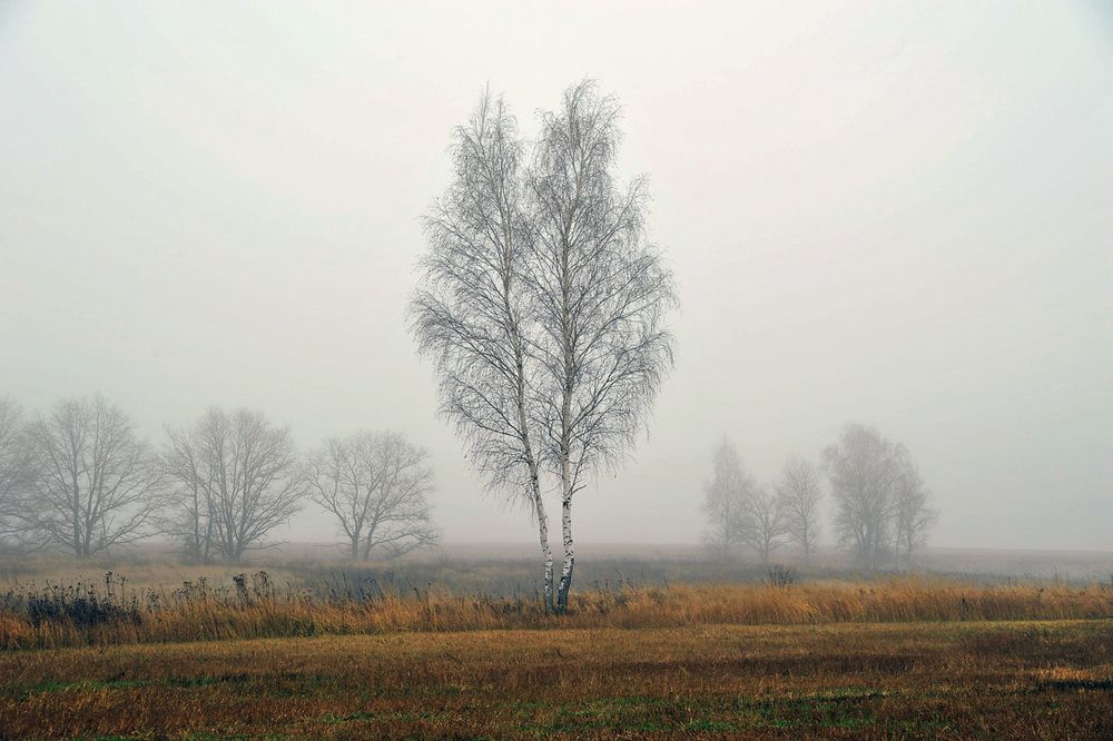 Photograph by Cергей Абакумов