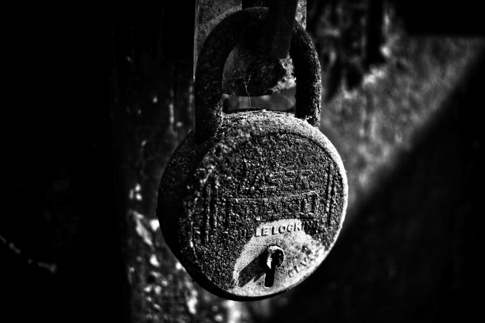 Photograph by Kriti Aggarwal