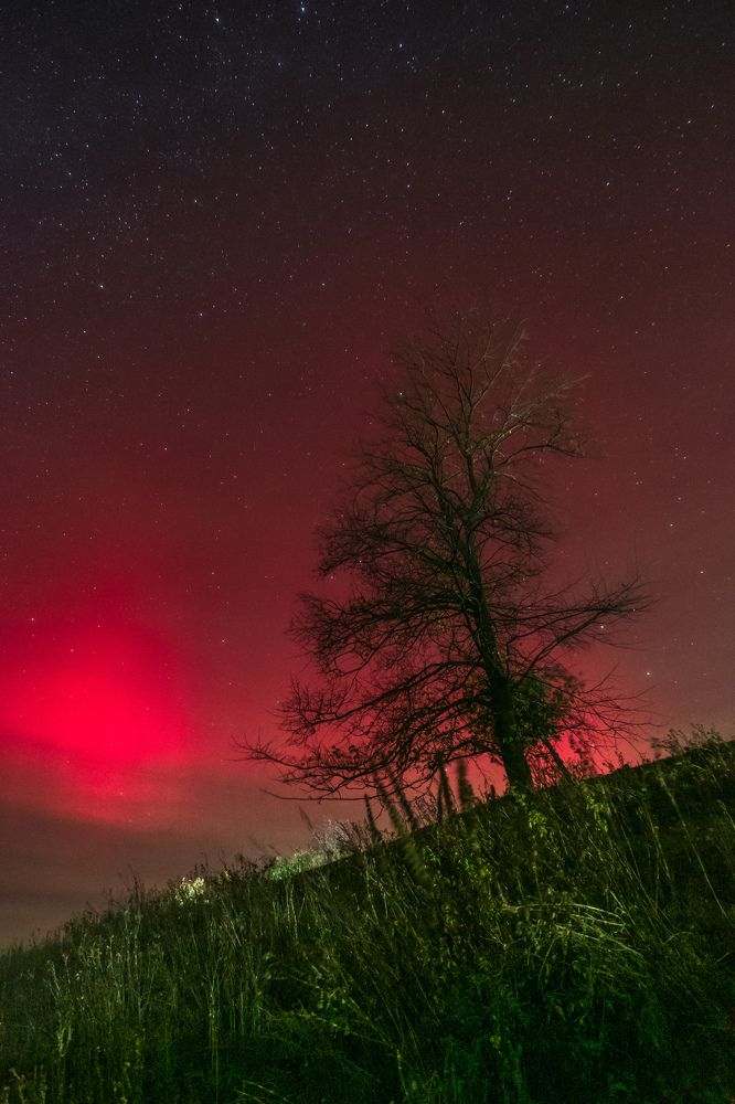 Фотография автора Константин Григорьев
